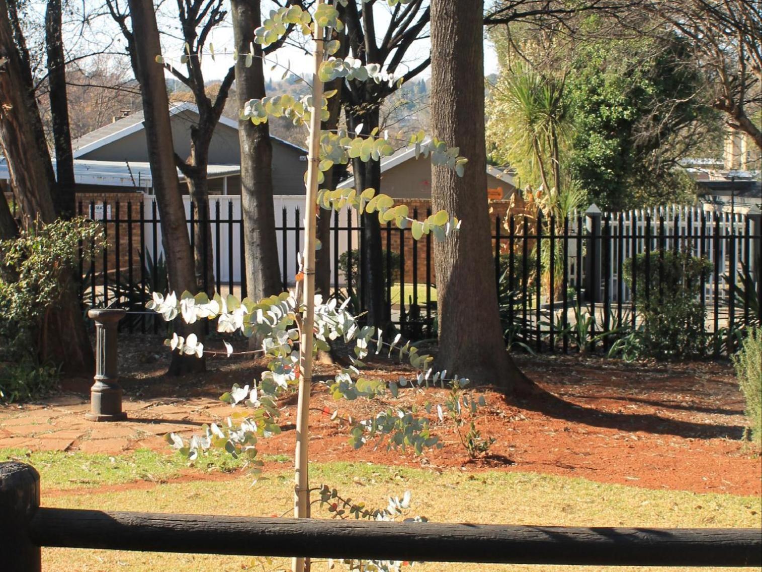 Wild Tree Lodge Benoni Luaran gambar