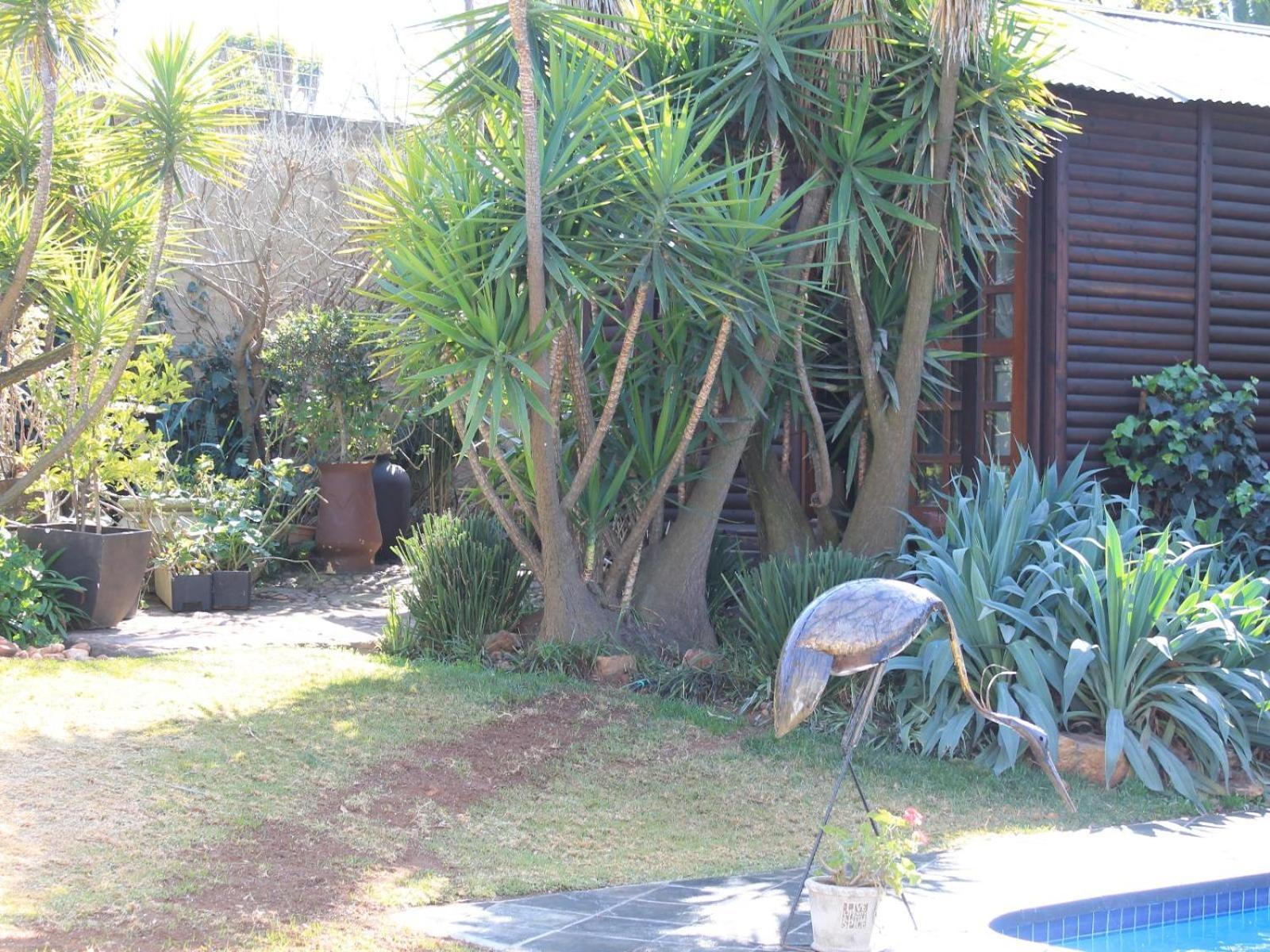 Wild Tree Lodge Benoni Luaran gambar