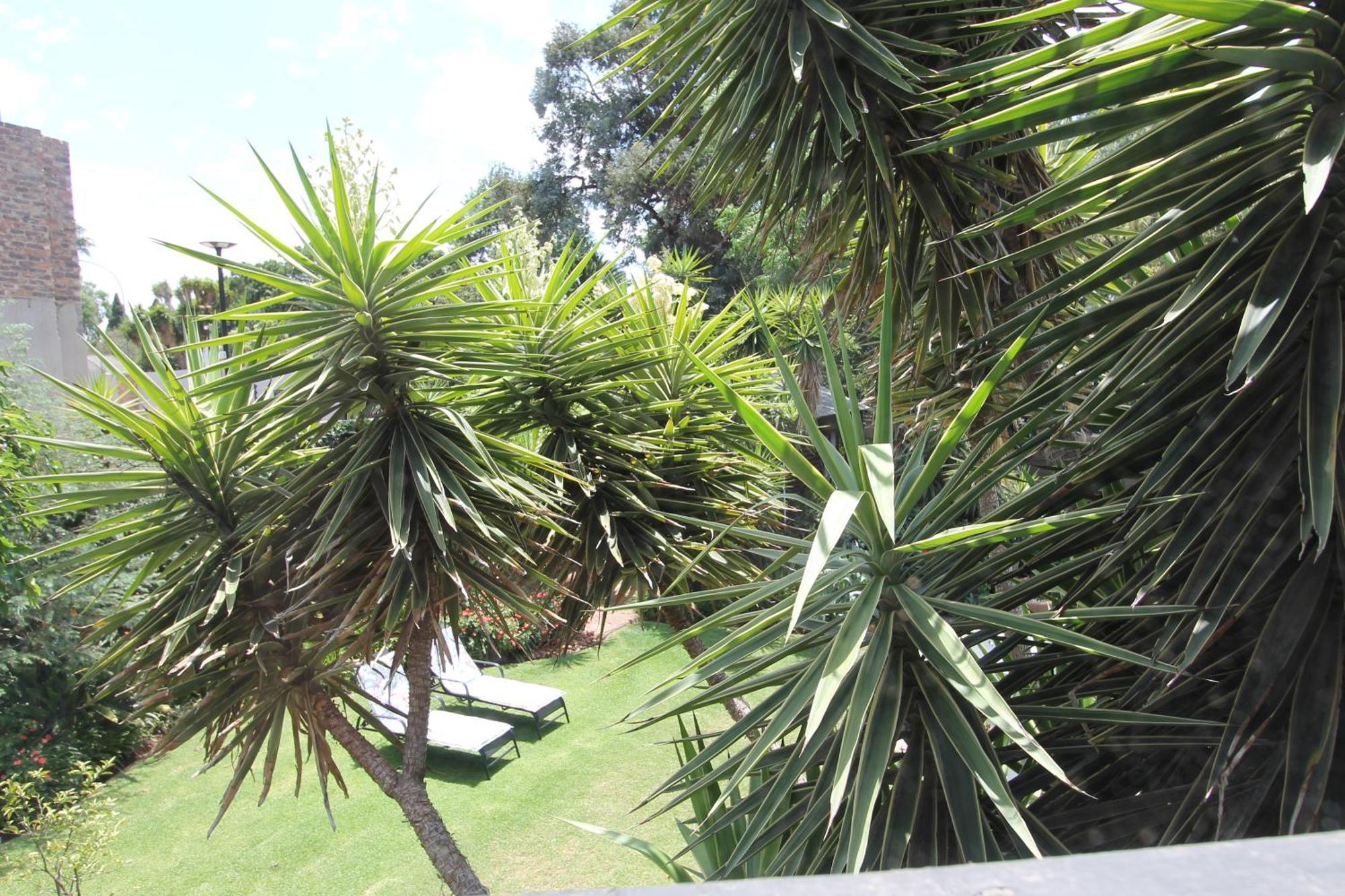 Wild Tree Lodge Benoni Luaran gambar