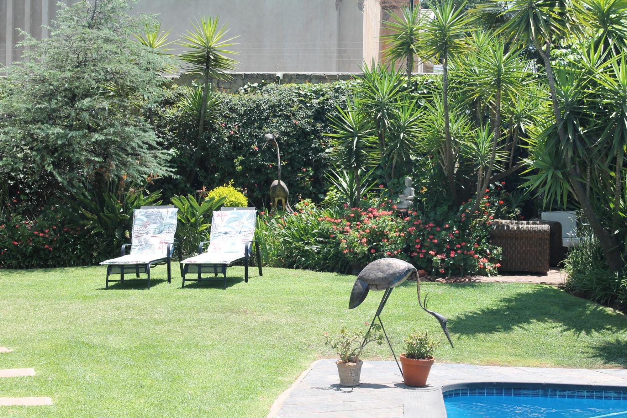 Wild Tree Lodge Benoni Luaran gambar